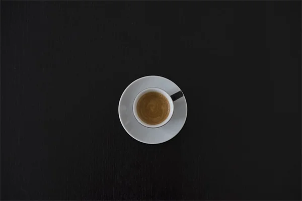 日陰で育てられる食用花5選!美味しい花を簡単に楽しむコツ