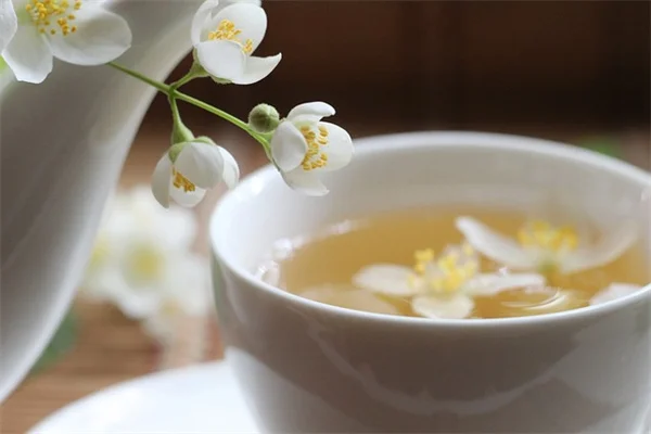 寝室の害虫対策に!化学スプレー不要、7種類の植物を試してみた